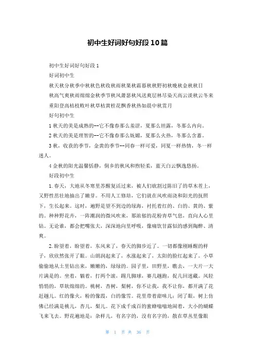 初中生好词好句好段10篇