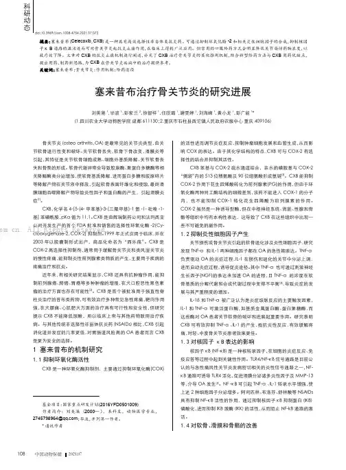 塞来昔布治疗骨关节炎的研究进展