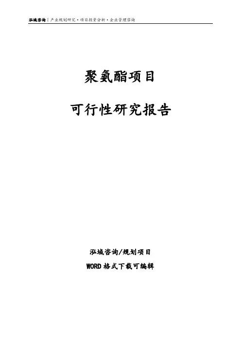 聚氨酯项目可行性研究报告
