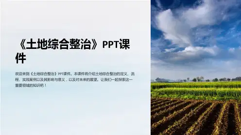 《土地综合整治》课件