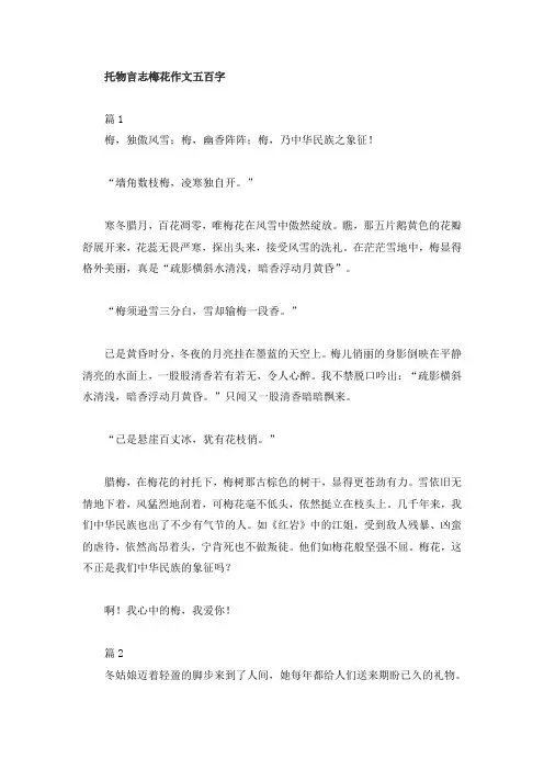托物言志梅花作文五百字