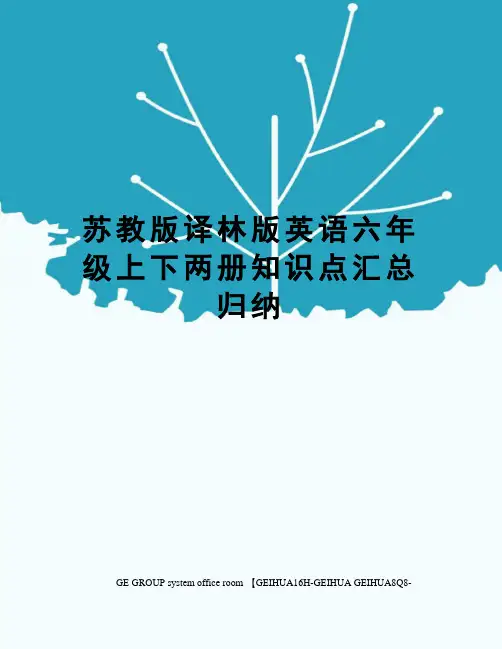 苏教版译林版英语六年级上下两册知识点汇总归纳精修订