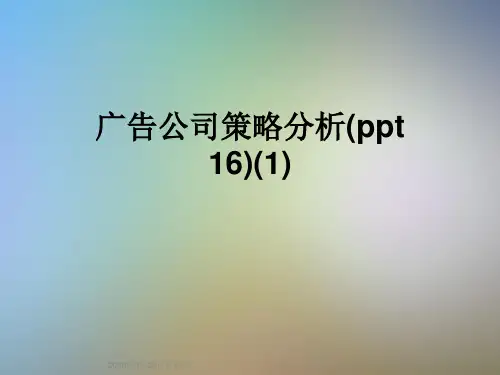 广告公司策略分析(ppt 16)(1)