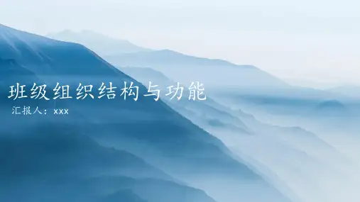 大学生班级组织结构