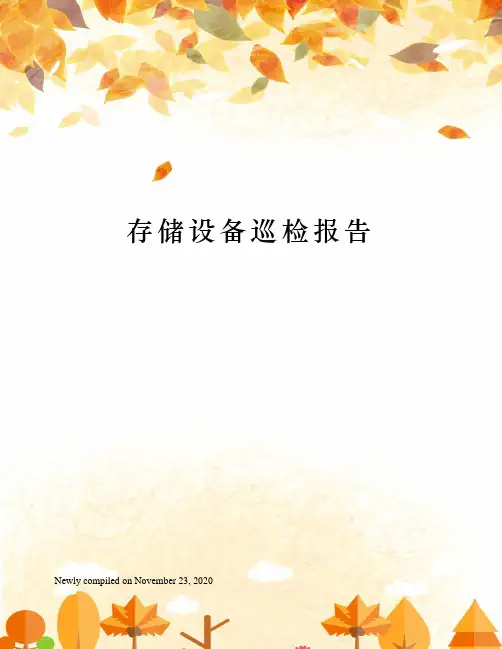 存储设备巡检报告
