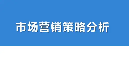 市场营销策略分析