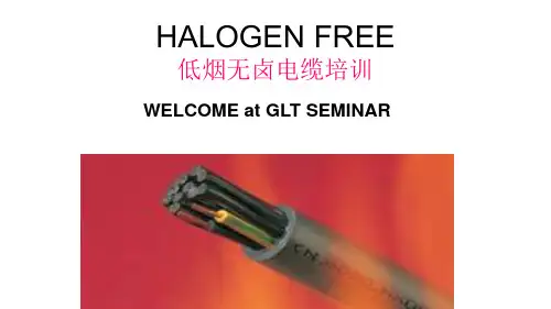 HALOGENFREE低烟无卤电缆培训.pptx