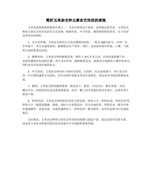 简析玉米杂交种主要农艺性状的表现