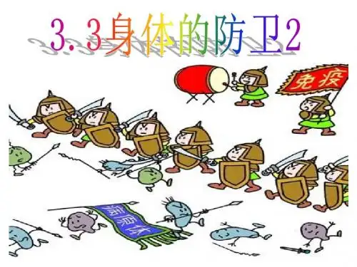 浙教新版 3.3身体的防卫2