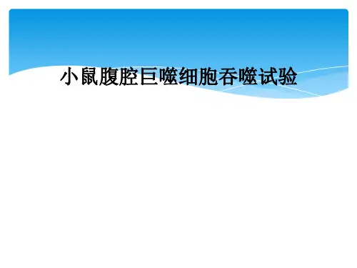 小鼠腹腔巨噬细胞吞噬试验