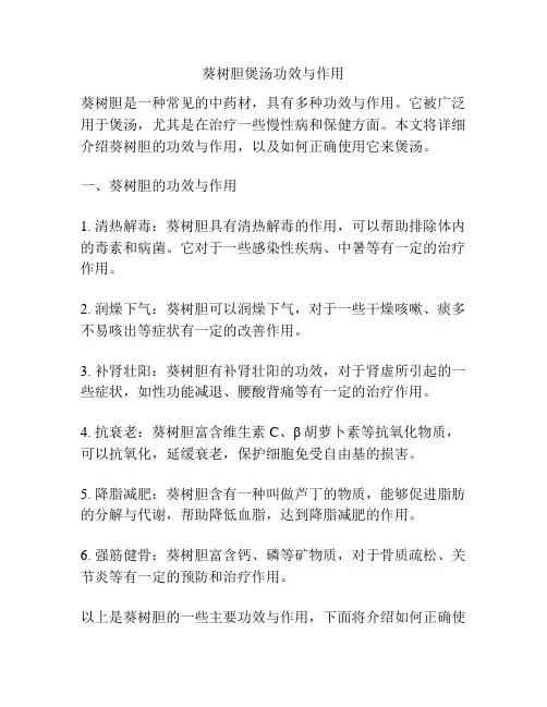 葵树胆煲汤功效与作用