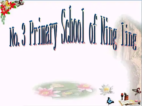 六年级英语下册Lesson3《DidyougoboatinglastSunday》 精品优选PPT课件4科普版