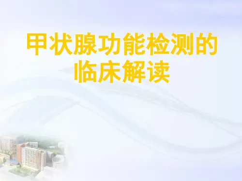 甲状腺功能检查解读ppt模板
