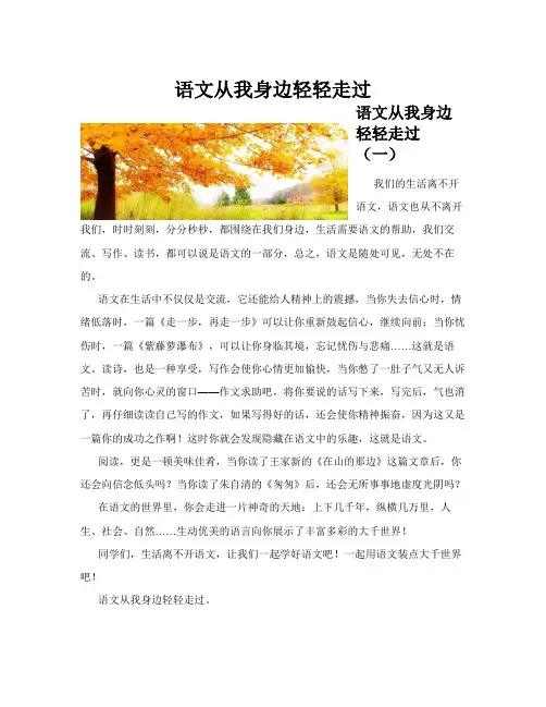 语文从我身边轻轻走过(共10篇)