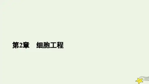 2022秋新人教版高中生物选择性必修3第2章细胞工程第1节植物细胞工程二植物细胞工程的应用课件