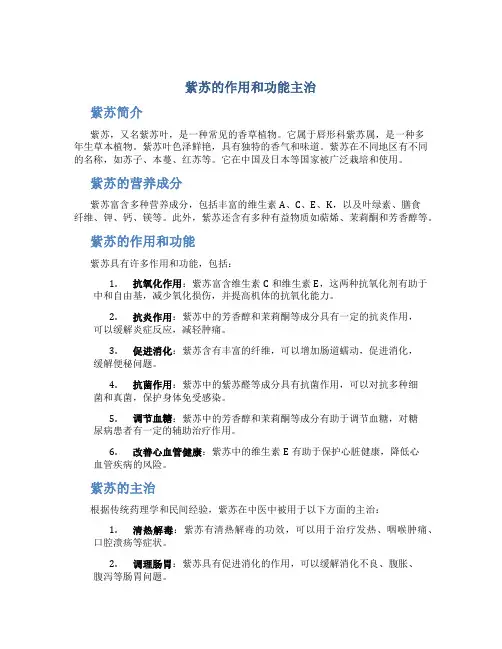 紫苏的作用和功能主治