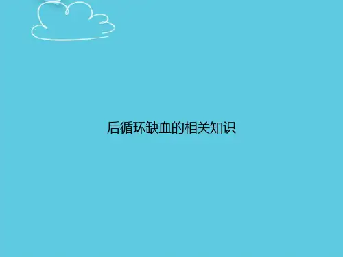 后循环缺血的相关知识精选PPT