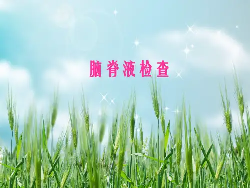 《脑脊液检查》PPT课件