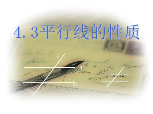2021年湘教版七年级数学下册第四章《4.3平行线的性质》公开课课件3(共18张PPT)