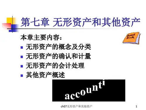 无形资产和其他资产