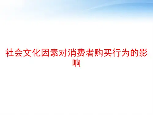 社会文化因素对消费者购买行为的影响 ppt课件