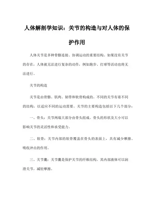 人体解剖学知识：关节的构造与对人体的保护作用