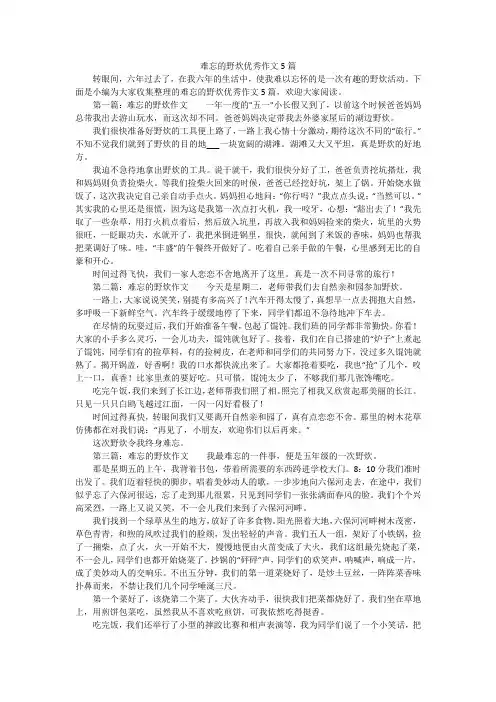 难忘的野炊优秀作文5篇