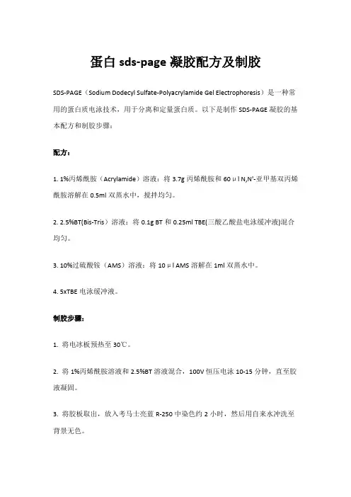 蛋白sds-page凝胶配方及制胶
