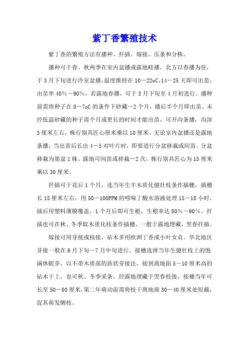 紫丁香繁殖技术