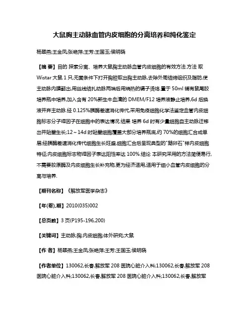 大鼠胸主动脉血管内皮细胞的分离培养和纯化鉴定