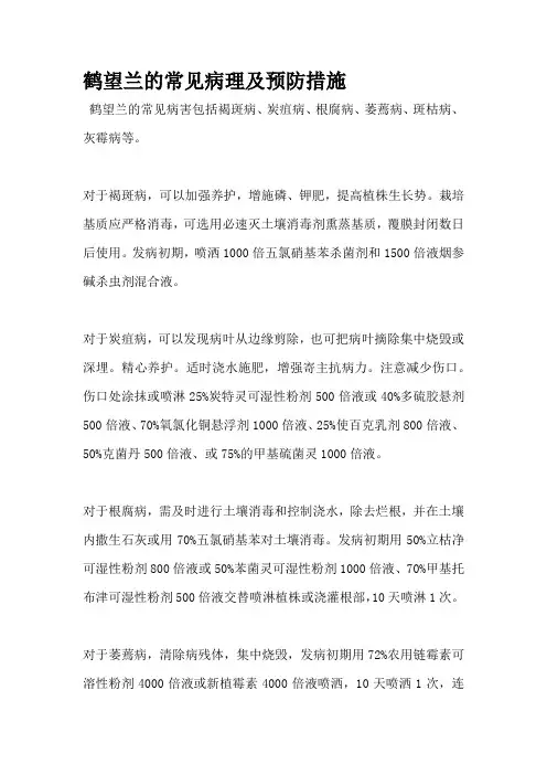 鹤望兰的常见病理及预防措施
