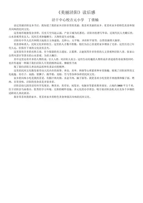 美丽泾阳读后感-丁倩楠