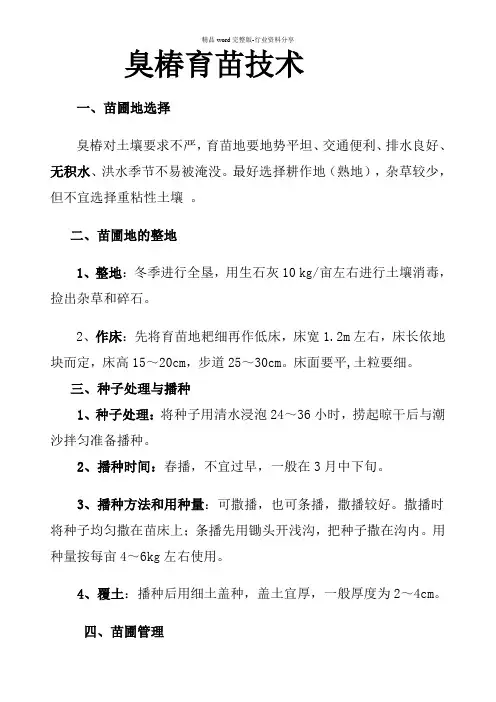 臭椿育苗技术