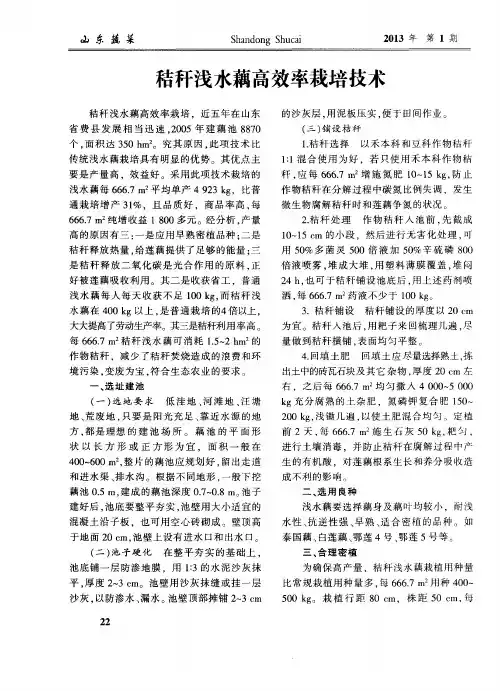 秸秆浅水藕高效率栽培技术
