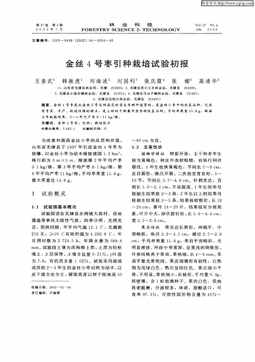 金丝4号枣引种栽培试验初报