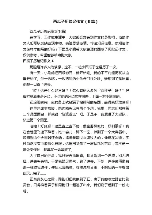 西瓜子历险记作文（5篇）