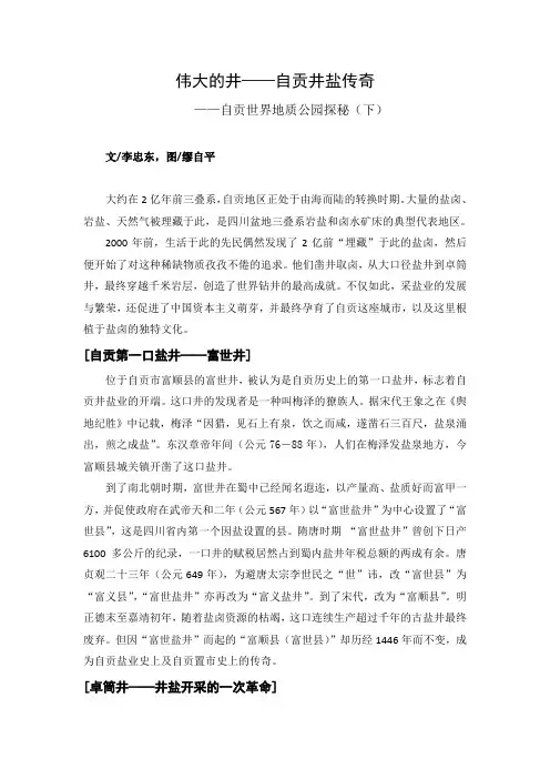 伟大的井——自贡井盐传奇