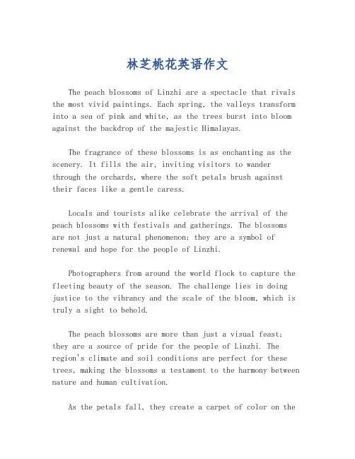 林芝桃花英语作文