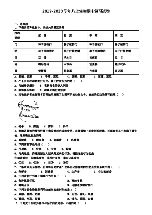 ┃试卷合集4套┃2020年海口市生物八年级(上)期末达标测试模拟试题