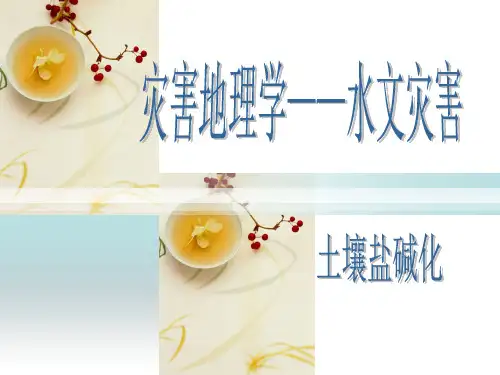 土壤盐渍化ppt课件