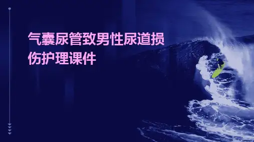气囊尿管致男性尿道损伤护理课件