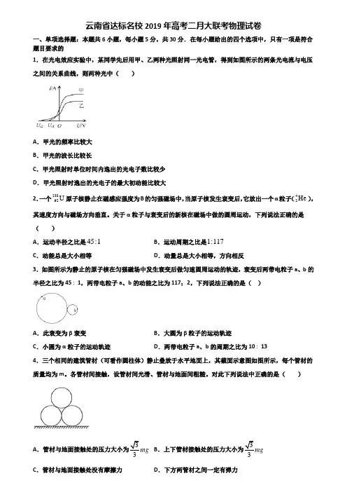 云南省达标名校2019年高考二月大联考物理试卷含解析