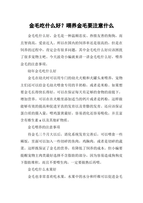 金毛吃什么好？喂养金毛要注意什么