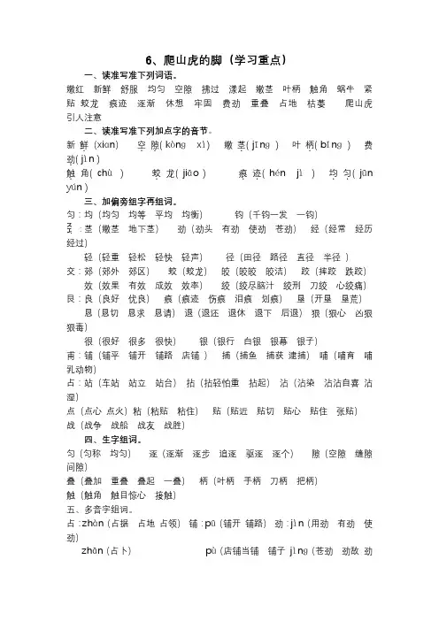 四语上册 学习重点：6、爬山虎的脚