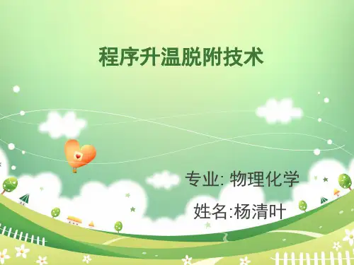 TPD程序升温脱附技术