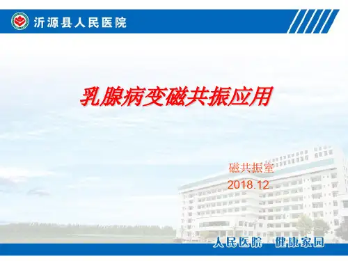 乳腺病变磁共振检查应用