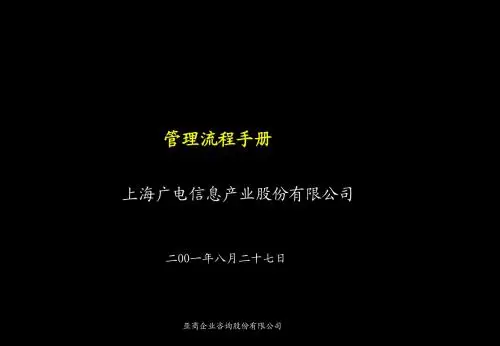 sva管理流程手册(战略)010827