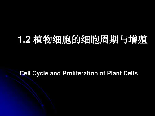 1.2细胞周期和增殖