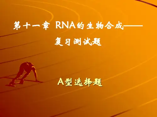 RNA的生物合成复习题及答案