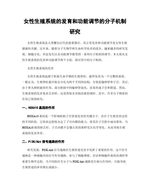 女性生殖系统的发育和功能调节的分子机制研究